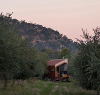 Shacky in the Olive Grove - Accommodation in Bendigo
