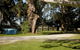 Strahan Beach Tourist Park - thumb 2