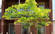 Turner Terrace - thumb 0