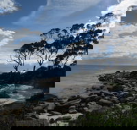 Binalong Bay Beach Shack - Accommodation in Bendigo
