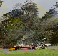 Boronia Farm - Accommodation in Bendigo