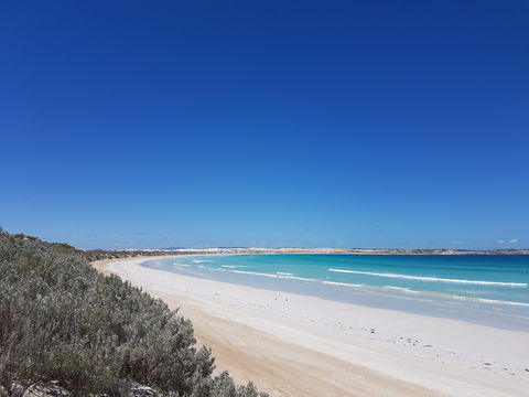 Coffin Bay National Park Campgrounds - Accommodation in Bendigo 0