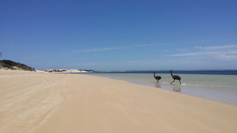 Coffin Bay National Park Campgrounds - Accommodation in Bendigo 3