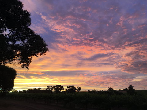 Container65 - Accommodation in Bendigo 5