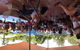 Curtain Fig Motel Yungaburra - thumb 3