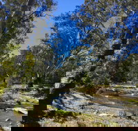 Highfield Farm and Woodland Bush Campsites - Accommodation in Bendigo