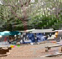 Pebbly Beach campground - Yuraygir National Park - Accommodation in Bendigo