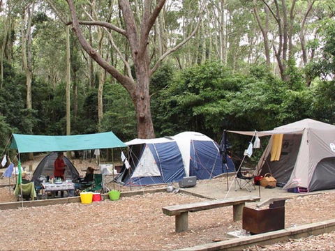 Pebbly Beach Campground - Yuraygir National Park - Accommodation in Bendigo 0