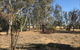 Kadesh Mudbrick Cottage - thumb 0
