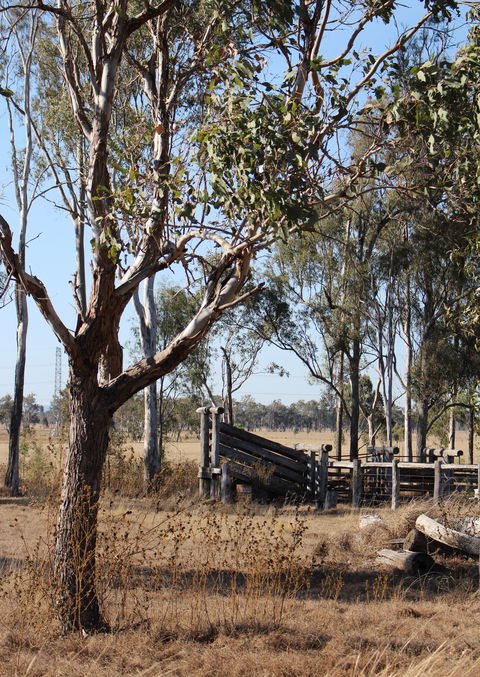 Keira Farm - Accommodation in Bendigo 3