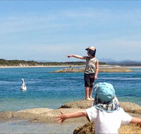 North East River Camping Ground - Accommodation in Bendigo