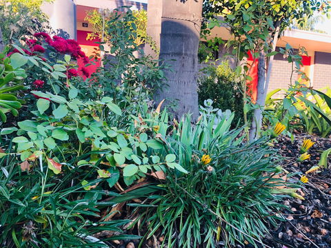 Albury Garden Court Motel - Accommodation in Bendigo 1