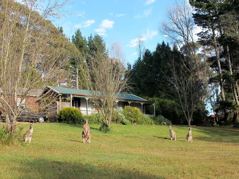 Cedar Lodge Cabins - Accommodation in Bendigo 0