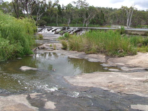 Country Style Caravan Park - Accommodation in Bendigo 1