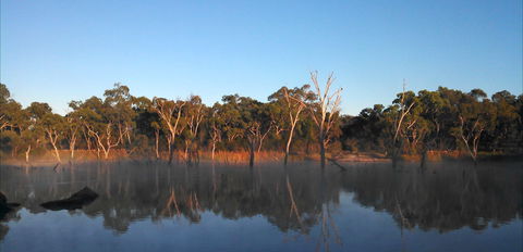 Country Style Caravan Park - Accommodation in Bendigo 3