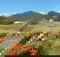 Farringdon Homestead - Accommodation in Bendigo