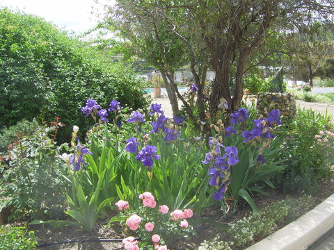 Garden Motor Inn (Golden Chain) - Accommodation in Bendigo 7