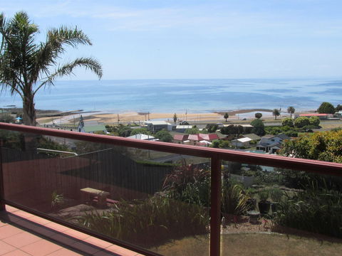 High On Penguin - Accommodation in Bendigo 1