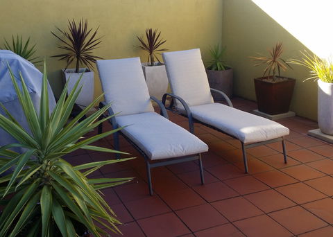High On Penguin - Accommodation in Bendigo 8