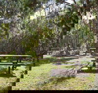 Illaroo group camping area - Accommodation in Bendigo