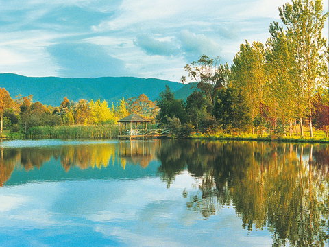 Kingbilli - Accommodation in Bendigo 0