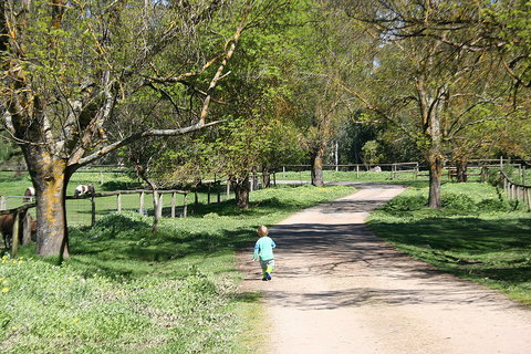 Kingbilli - Accommodation in Bendigo 3