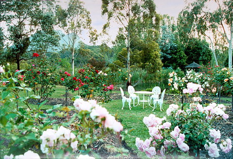 Kingbilli - Accommodation in Bendigo 4