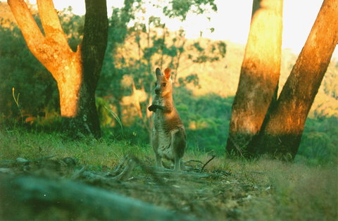 Kingbilli - Accommodation in Bendigo 7