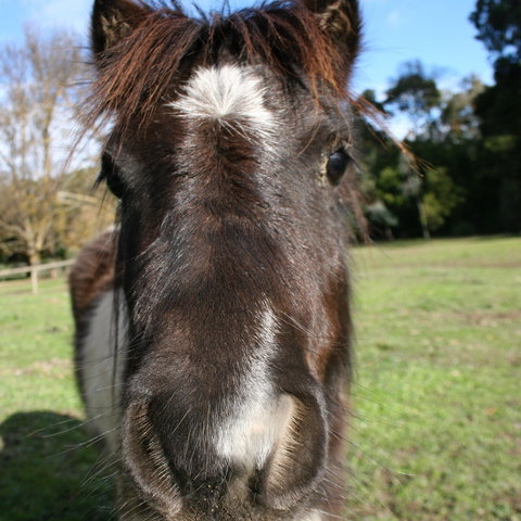 Kingbilli - Accommodation in Bendigo 8