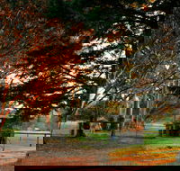 Misty Valley Country Cottages - Accommodation in Bendigo