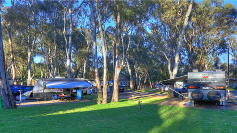Moama Riverside Holiday And Tourist Park - Accommodation in Bendigo 6