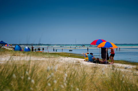 Rosebud Foreshore Camping - Accommodation in Bendigo 0