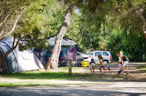 Rosebud Foreshore Camping - Accommodation in Bendigo 2