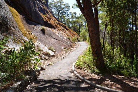 Centre Road Crossing Camp At Mount Frankland South National Park - Accommodation in Bendigo 0