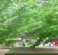 Hill End Holiday Ranch - Accommodation in Bendigo