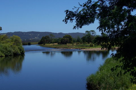Latrobe Mersey River Caravan Park - Accommodation in Bendigo 1
