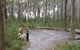 Meroo Head Campground - thumb 0