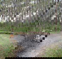 Meroo Head campground - Accommodation in Bendigo