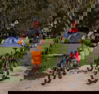 Ngarigo campground - Accommodation in Bendigo