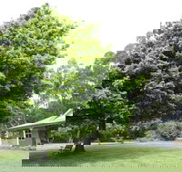 Wavestation - Accommodation in Bendigo