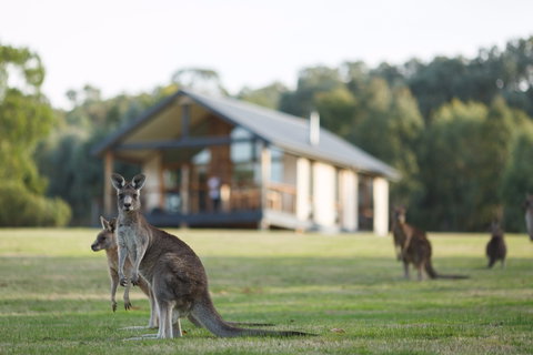 Yering Gorge Cottages - Accommodation in Bendigo 0
