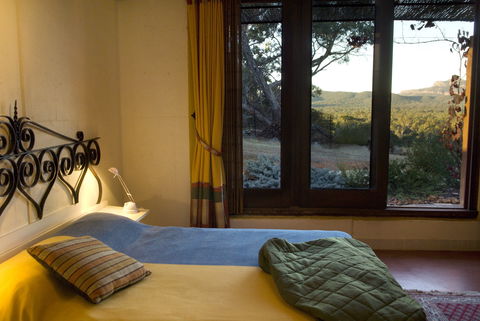 Kangaroos In The Top Paddock - Accommodation in Bendigo 1