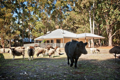 Margaret River Hideaway And Farmstay - Accommodation in Bendigo 1