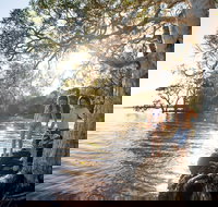 NRMA Myall Shores Holiday Park - Accommodation in Bendigo