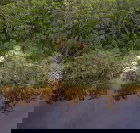 Two Mile Sands campground - Accommodation in Bendigo