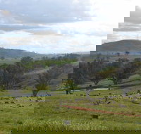 Wantana Cottage Farm Stay - Accommodation in Bendigo