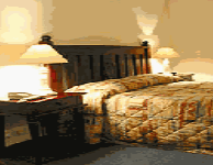 Comfort Inn Treetop Walk - Accommodation in Bendigo 0