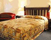 Comfort Inn Treetop Walk - Accommodation in Bendigo 2