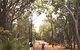 Bussells Bushland Cottages - thumb 3
