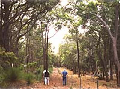 Bussells Bushland Cottages - Accommodation in Bendigo 3